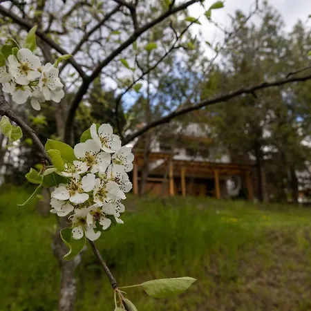 Egercottages - Csillag * Eger