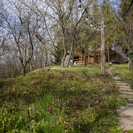 Guest house Chillinn Csillag