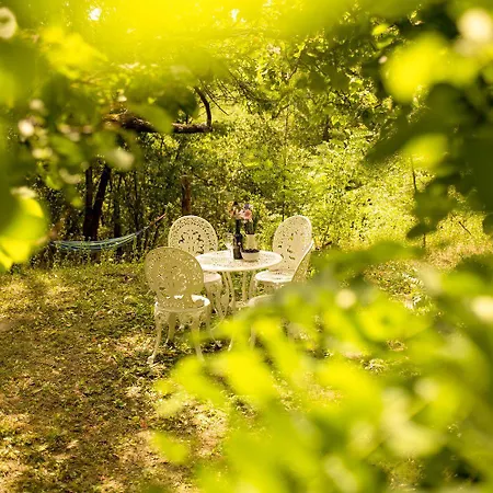 Chillinn Csillag Guest house *