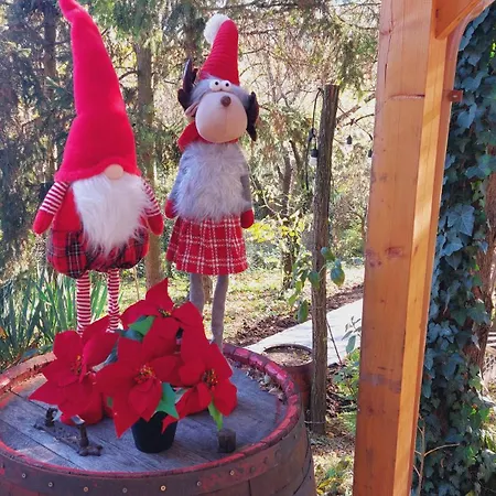 Guest house Chillinn Csillag *