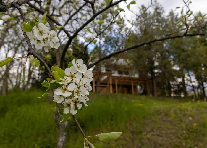 Chillinn Csillag * Eger